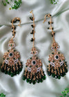 ZH | Parrot Lux Set