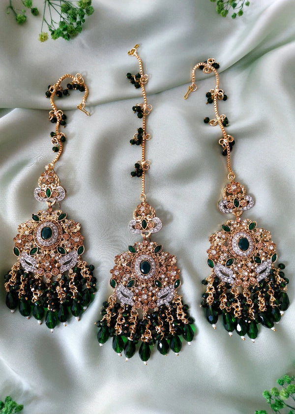 ZH | Parrot Lux Set